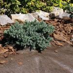 Unkrautblocker für Rindenmulch braun 0,9x10m – Bild 2