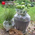Luftpolsterfolie Winterschutz Isolierfolie Noppen ca. Größe 0,50 x 3 m – Bild 2