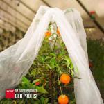 Schutzvlies 1,5x10m Profi Gartenvlies 15 gr/m² – Bild 4