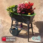 Hochbeet Calipso 81x38x100cm Komplettset mit Haube Farbe grün – Bild 7