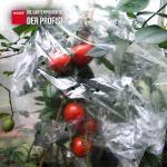 Tomatenhaube 0,65x10m gelocht 20µ für 10 Tomaten – Bild 2