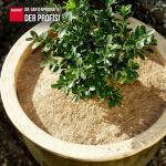 Kokosscheibe Kokos Scheibe Winterschutz Durchmesser 60 cm – Bild 3