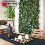Rankhecke Weide mit Laub Laubhecke Spalier 1x2 m – Bild 3