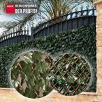 Rankhecke Weide mit Laub Laubhecke Spalier 1x2 m – Bild 4