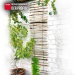 Haselnuss-Rankhilfe 50 x 200 cm 3-4 Lattenabstand – Bild 3