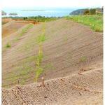 Erosionsschutzmatte Kokos Netz 2,0x50m 700 g/m² – Bild 2