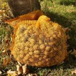 Raschelsäcke goldgelb mit Zugband Größe 25 kg (50 x 80 cm) 10 Stück – Bild 2