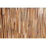 Schilfrohrmatte Sichtschutz ST. TROPEZ mit Draht ca. Größe (HxB) 0,80x6 m – Bild 2